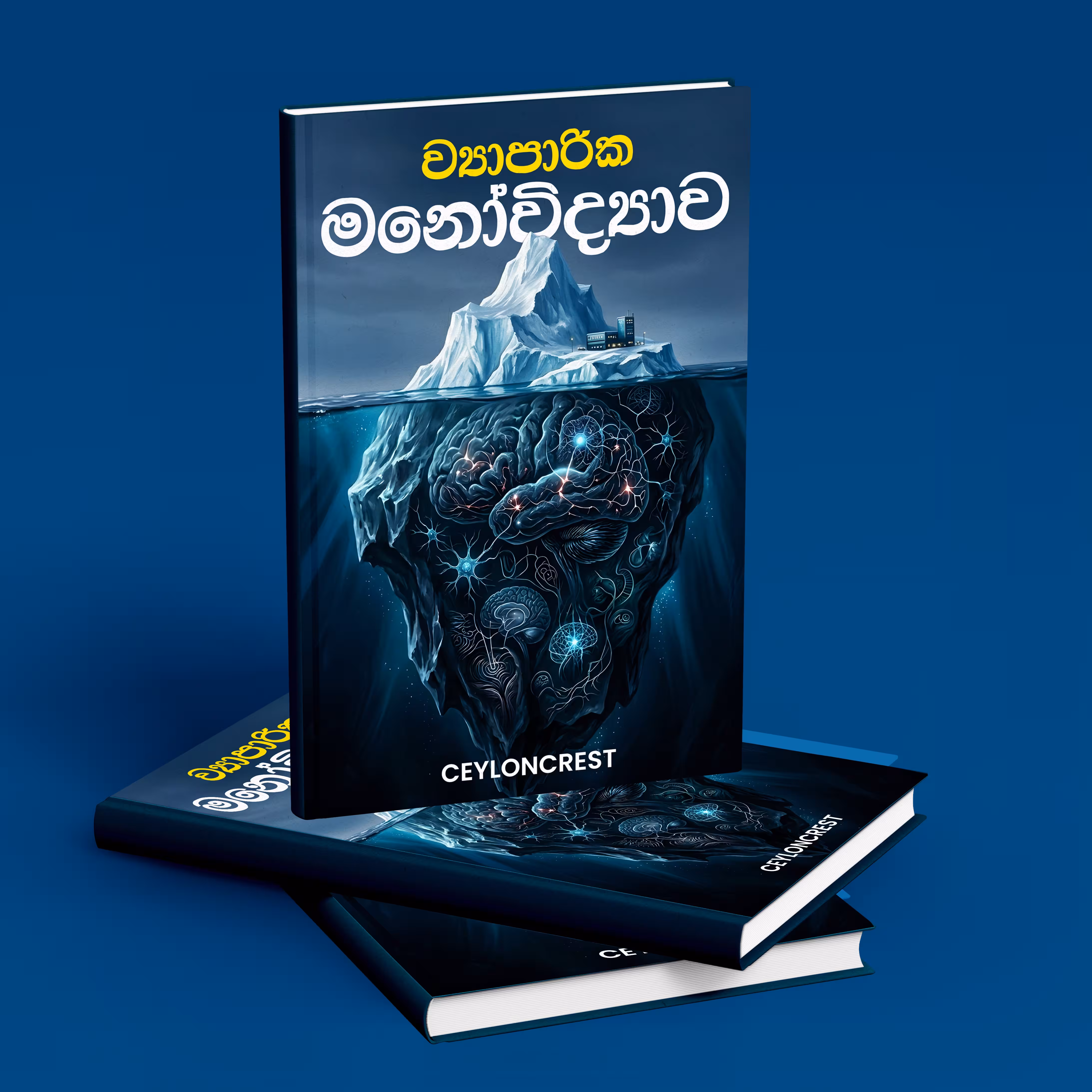 Business Psychology (ව්‍යාපාරික මනෝවිද්‍යාව) cover