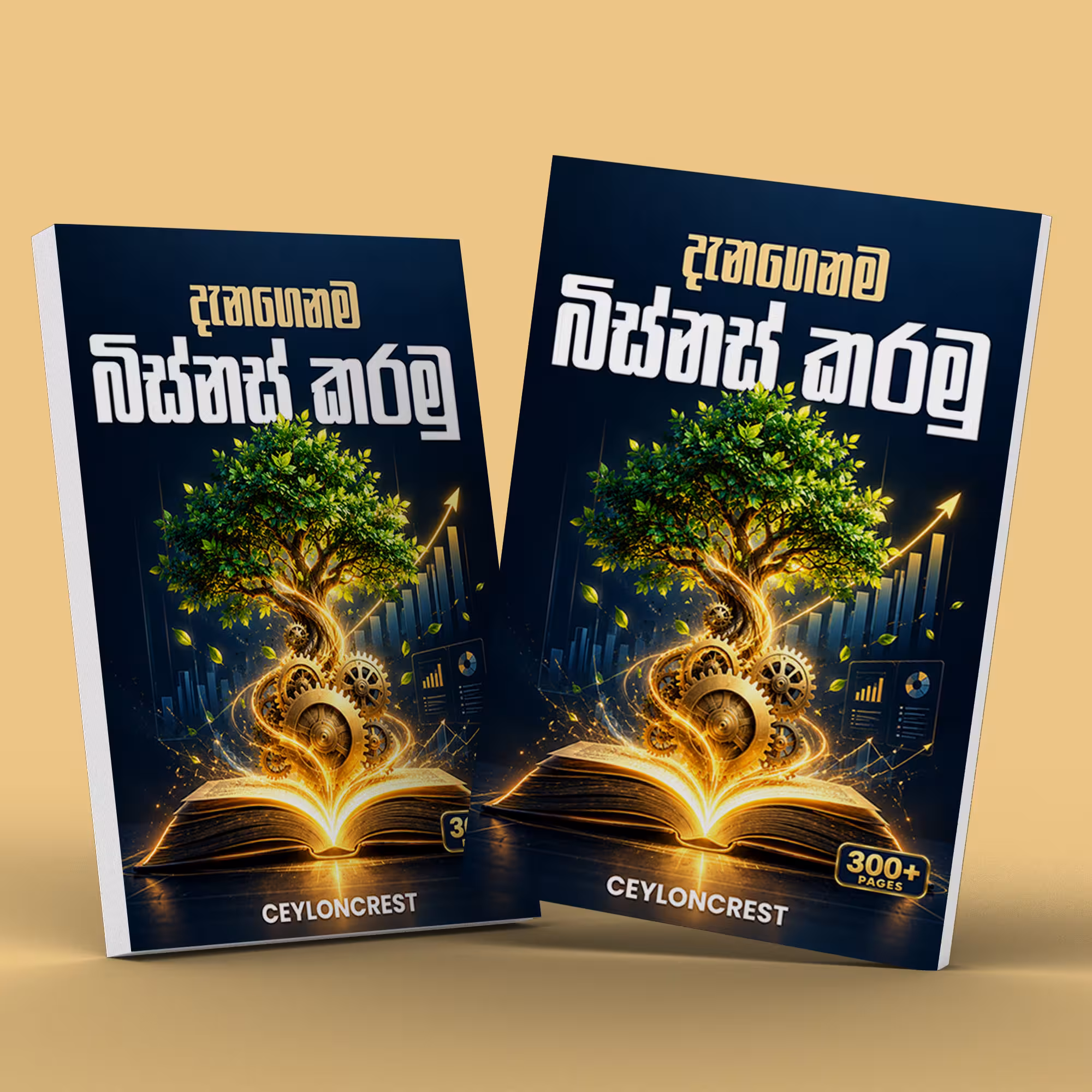Start Business Smart (දැනගෙනම බිස්නස් කරමු) cover