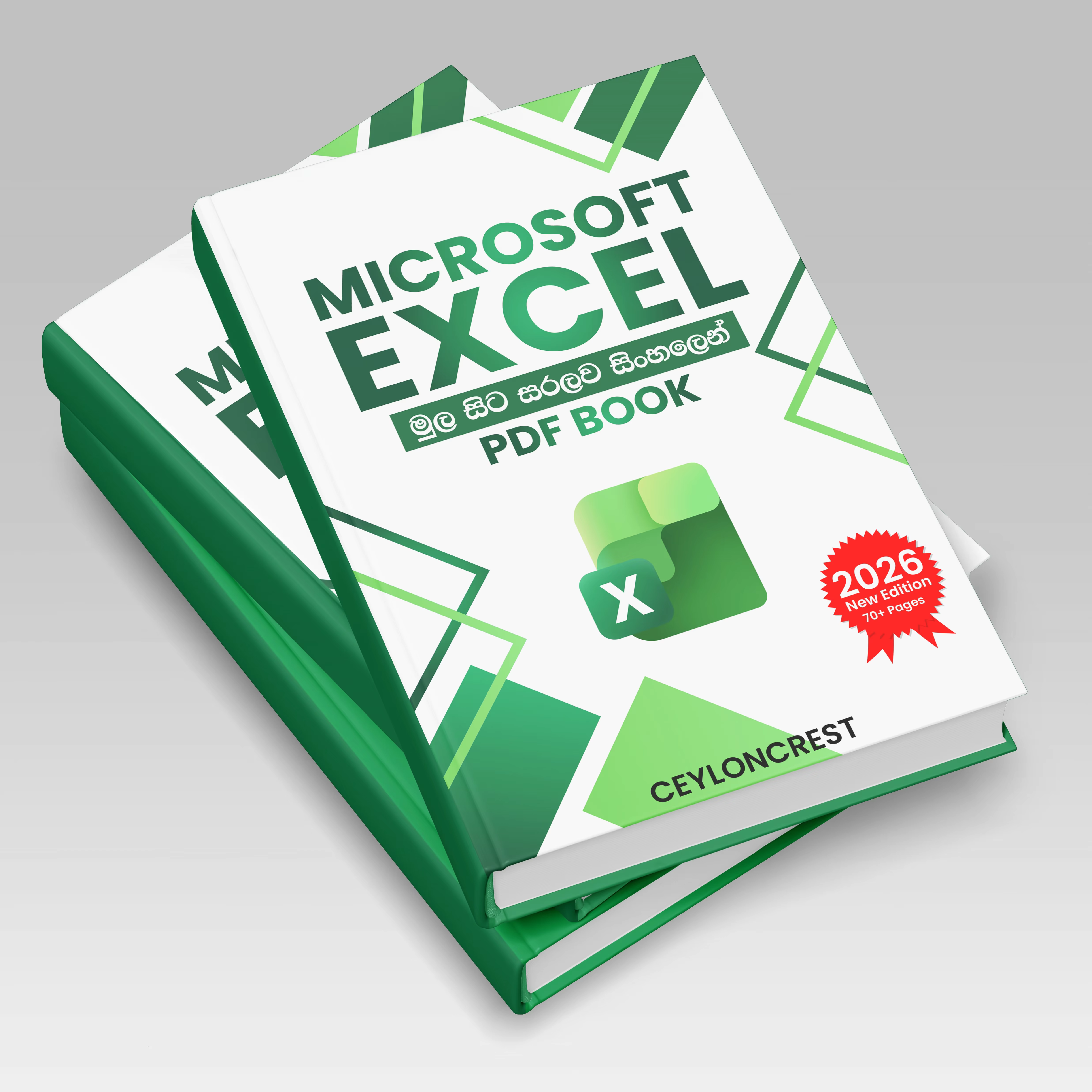 MS Excel Mastery cover