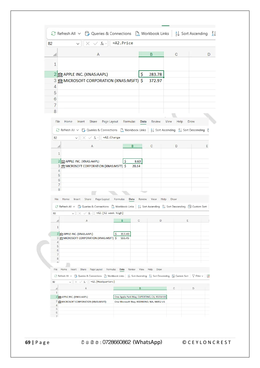 Advanced Excel — Sample page 2