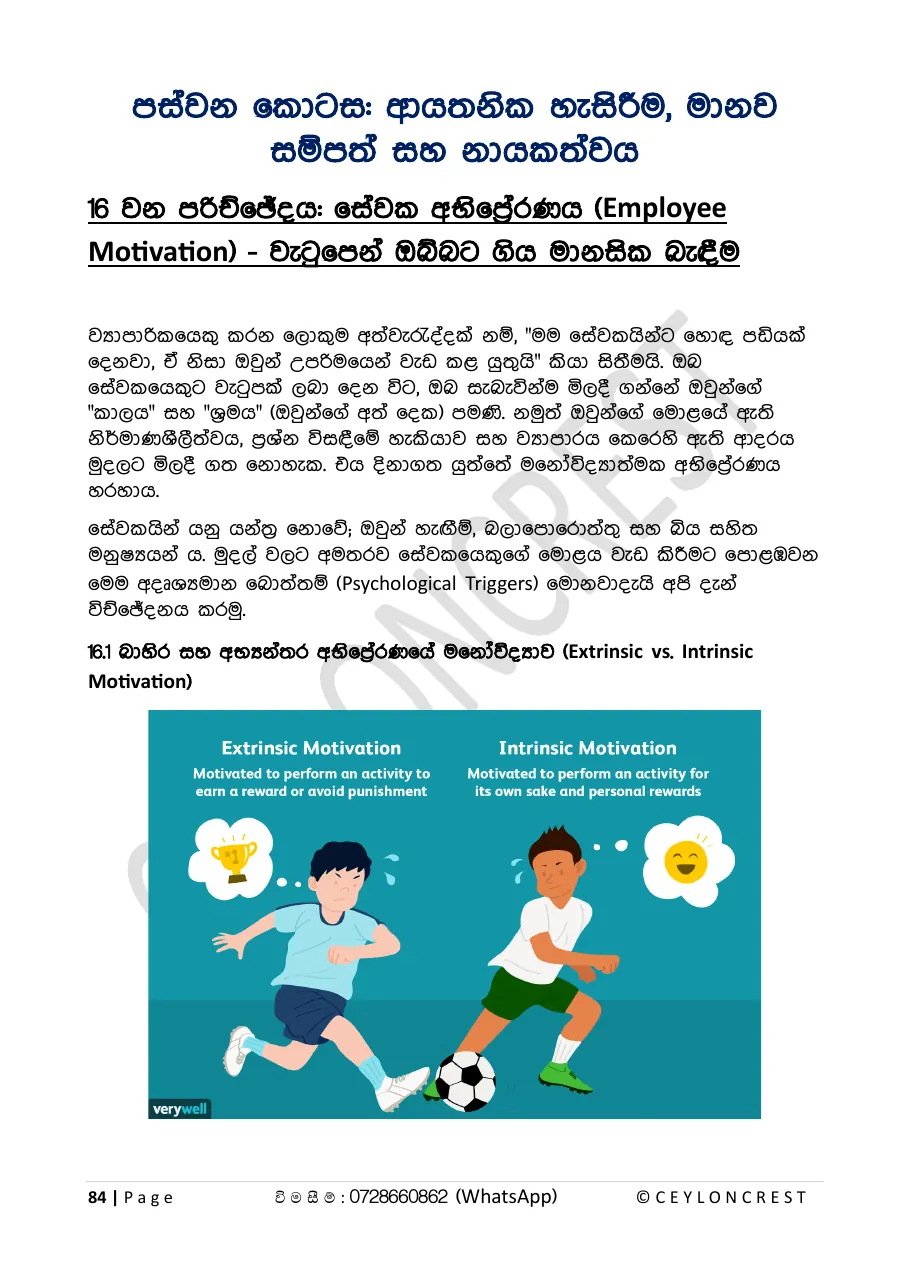 Business Psychology (ව්‍යාපාරික මනෝවිද්‍යාව) — Sample page 5