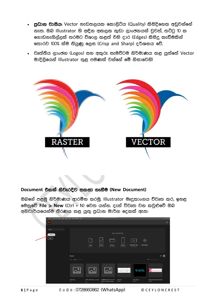 Adobe Illustrator (Part 1) — Sample page 2