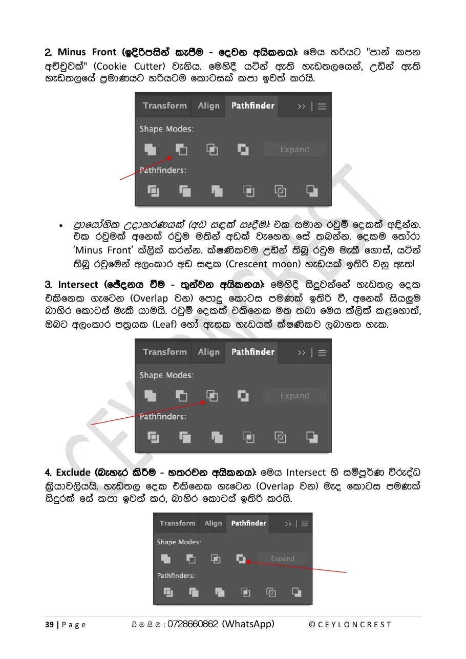 Adobe Illustrator (Part 1) — Sample page 3