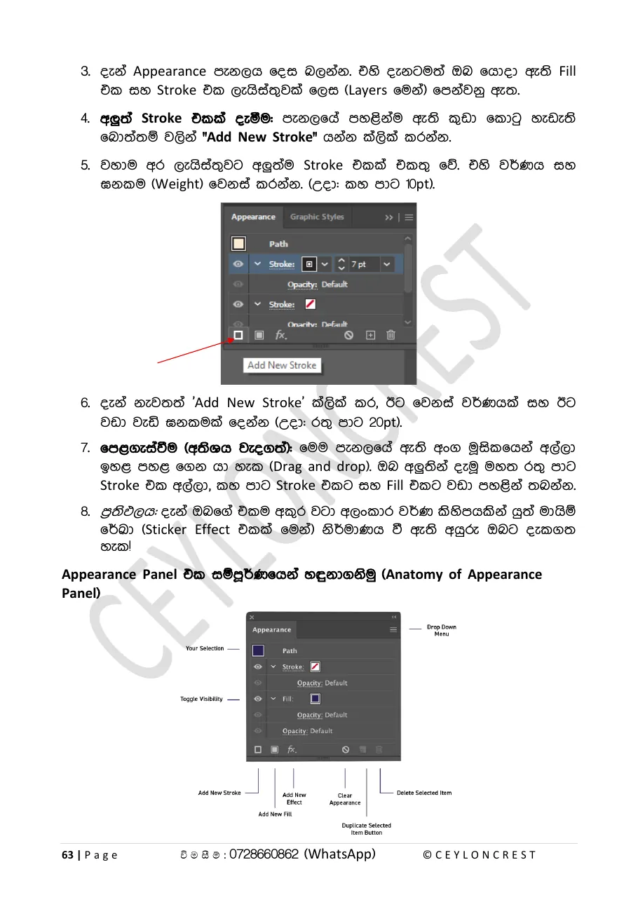Adobe Illustrator (Part 1) — Sample page 4