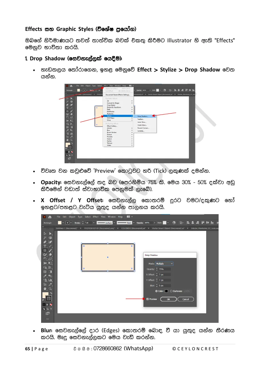 Adobe Illustrator (Part 1) — Sample page 5