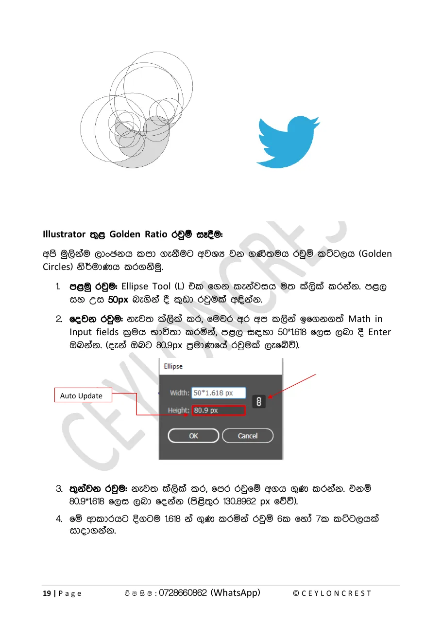 Advanced Illustrator (Part 2) — Sample page 2