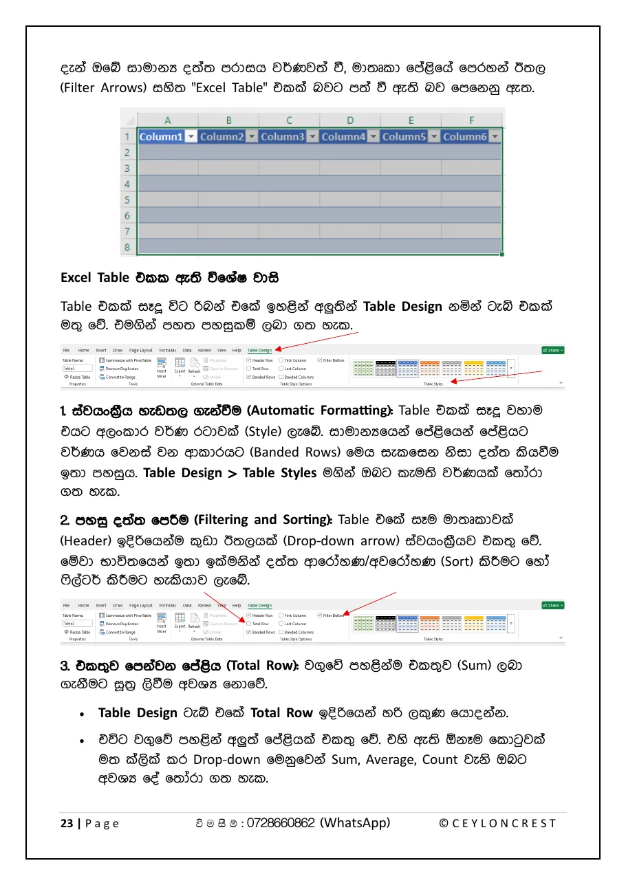 MS Excel Mastery — Sample page 3