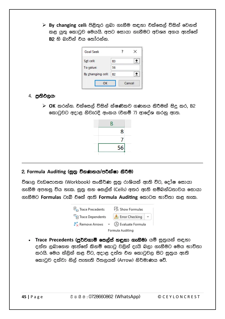 MS Excel Mastery — Sample page 4