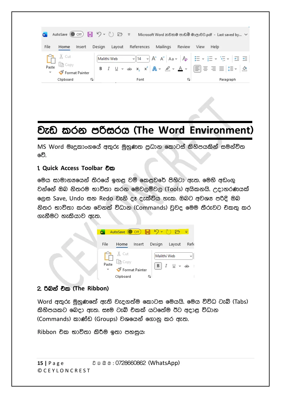 MS Word Masterclass — Sample page 2
